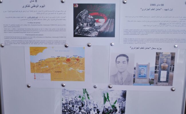 WhatsApp Image 2022-05-09 at 12.31.11 (2)